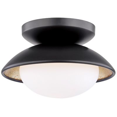 Cadence LED Semi-Flushmount Wall/Ceiling Light