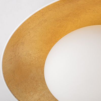 Cadence LED Semi-Flushmount Wall/Ceiling Light