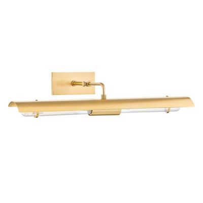 Raelynn Picture Light