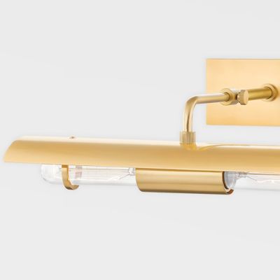 Raelynn Picture Light