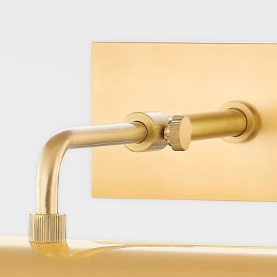 Raelynn Picture Light