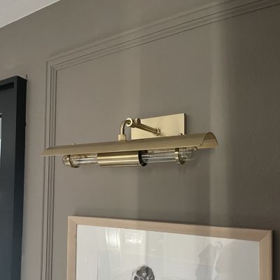 Raelynn Picture Light