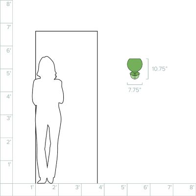 Lumens/MTZP550167_sd_08b