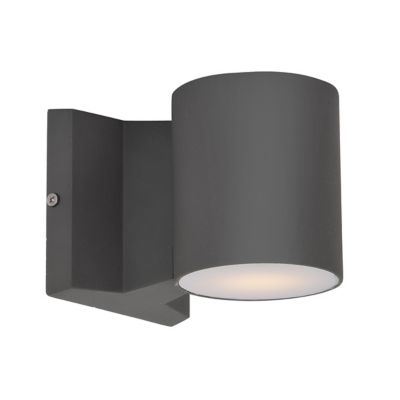 Raul 86106 LED Outdoor Wall Light