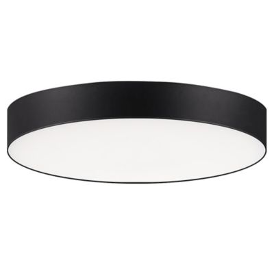 Flush Mounted Ceiling Lights at Lumens