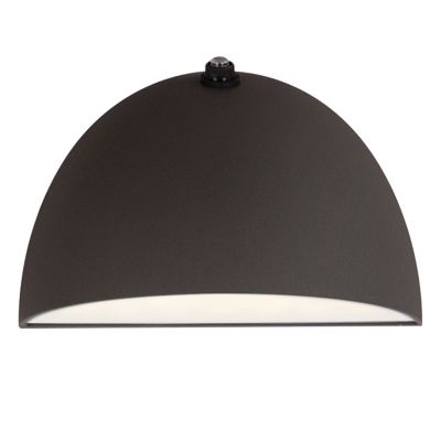 Clarina LED Outdoor Wall Sconce
