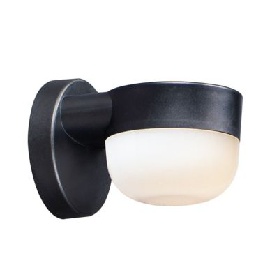 Michelle LED Outdoor Wall Sconce