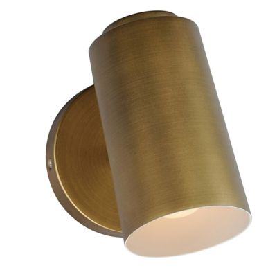 SpotLight Outdoor LED Wall Sconce
