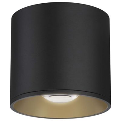 Stout Indoor/Outdoor LED Flushmount