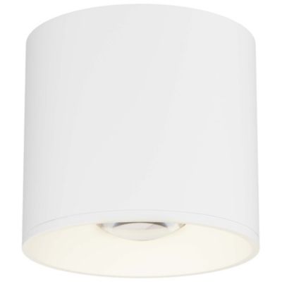 Stout Indoor/Outdoor LED Flushmount