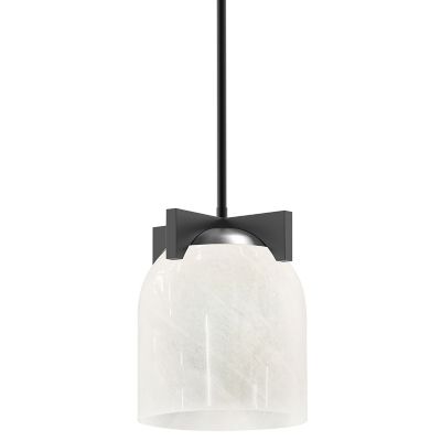 Scoop Pendant/Semi-Flushmount