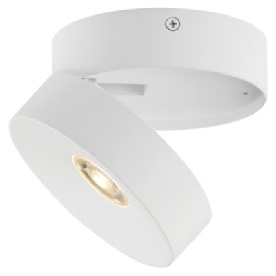 Swinger Adjustable LED Flushmount