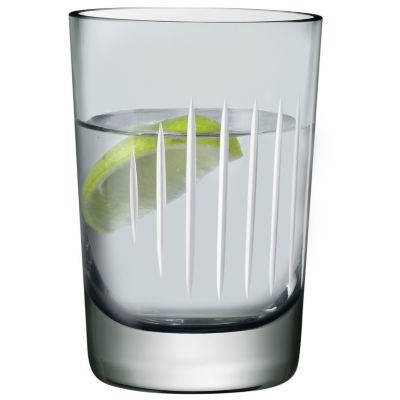 Parrot Water Glass, Set of 2