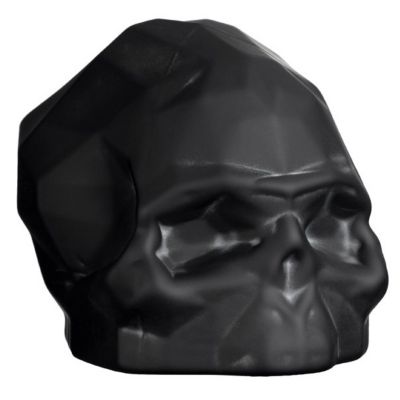 Memento Mori Faceted Skull