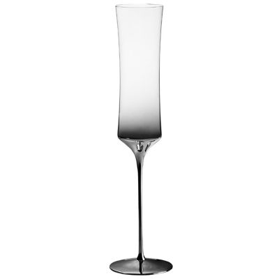 Dream Parade Champagne Glass, Set of 2