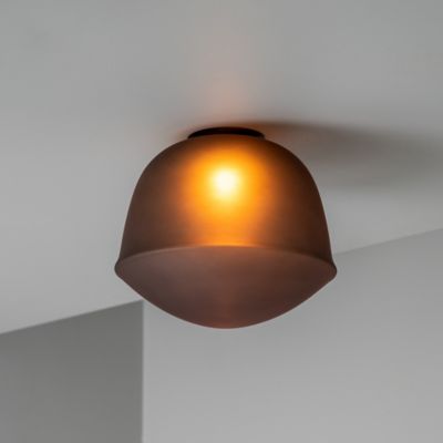 Contour LED Wall / Flushmount