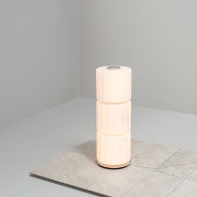 Column LED Floor Lamp, 300