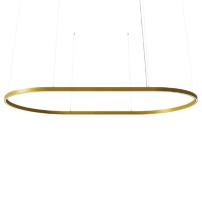 Zirkol Oval LED Linear Suspension