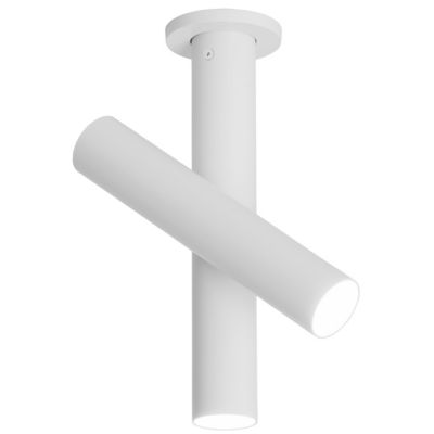 Tubes Flushmount