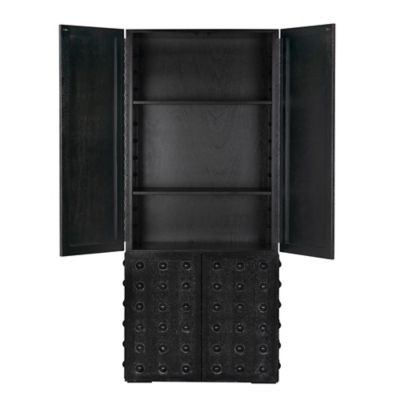 Interior view of the black metal cabinet's shelves and doors.