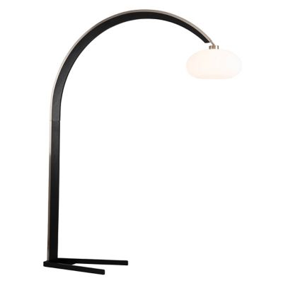 Vaulted Arc Floor Lamp
