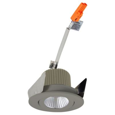 Iolite 2 Inch Adjustable LED Trim