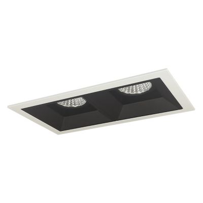 Iolite MLS LED Wall Wash Two Head Trim Set