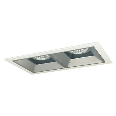 Iolite MLS LED Fixed Downlight Two Head Trim Set