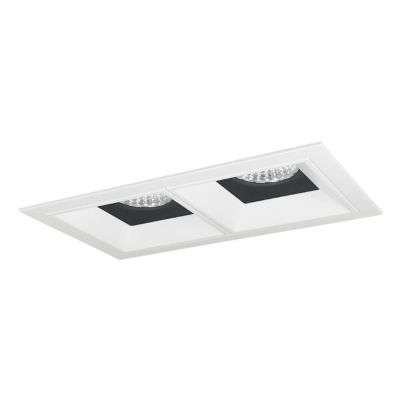 Iolite MLS LED Adjustable Snoot and Fixed Downlight Two Head Trim Set