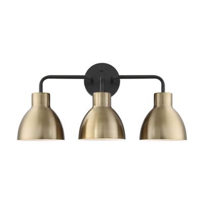 Shilo Vanity Light