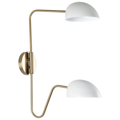 Dev 2-Light Swingarm Wall Sconce