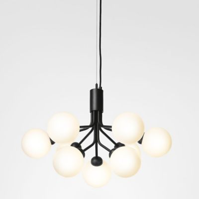 Apiales Chandelier