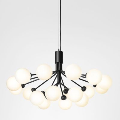 Apiales Chandelier