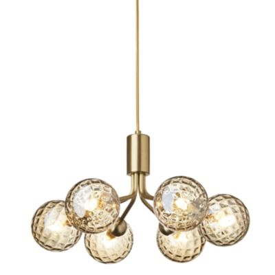 Apiales 6-Light Chandelier