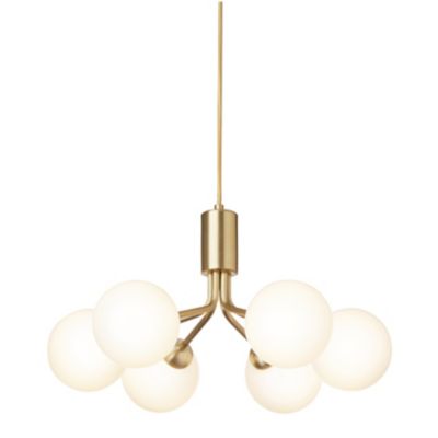 Apiales 6-Light Chandelier
