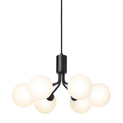 Apiales 6-Light Chandelier