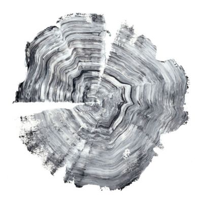 Tree Ring Abstract IV by NW Art at