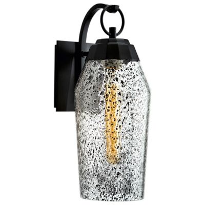 Lyrids Outdoor Wall Sconce