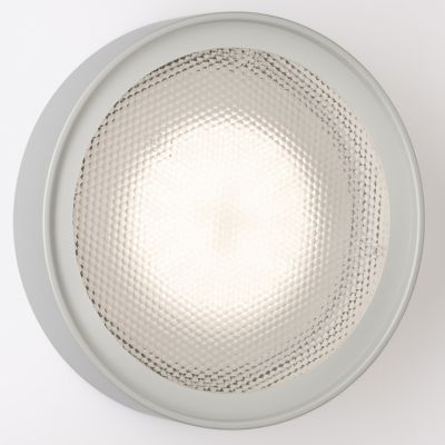 Berlin Outdoor LED Wall / Flushmount