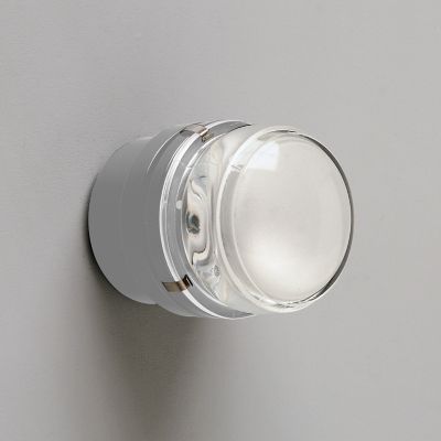 Fresnel Wall/Ceiling Light