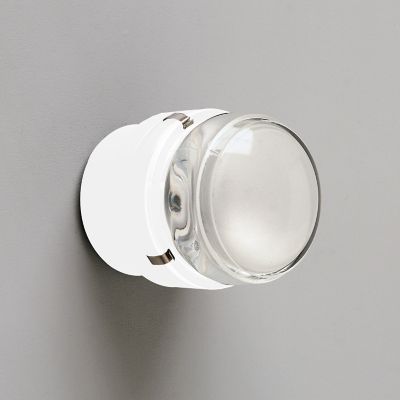 Fresnel Wall/Ceiling Light