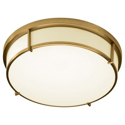 Flush mount store vanity light