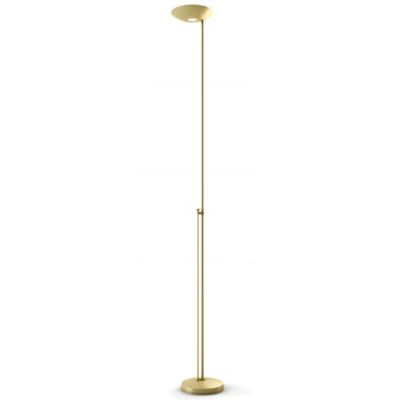 Icons Floor Lamp