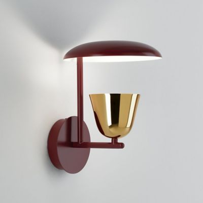 Lightolight LED Wall Sconce