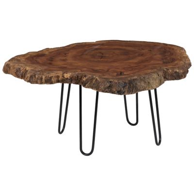 Burled Coffee Table