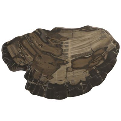 Cast Petrified Wood PH94505 Wall Tile