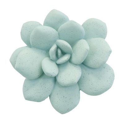 Laui Succulent Indoor/Outdoor Wall D?cor