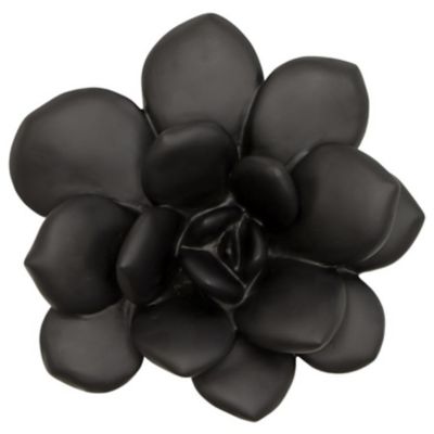 Laui Succulent Indoor/Outdoor Wall D?cor