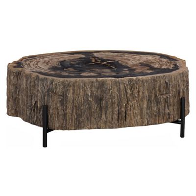 Chaka Petrified Coffee Table