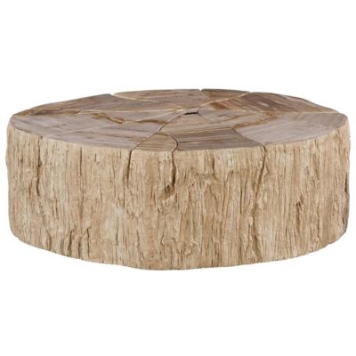 Converge Petrified Coffee Table